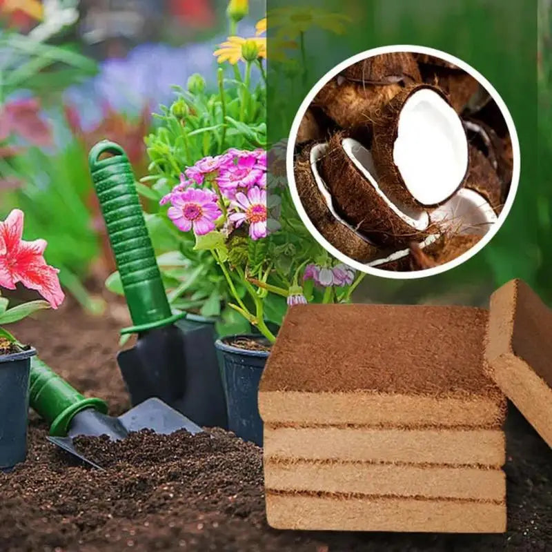 Coconut Coir Bricks Organic Coconut Bricks for Plants Compressed Gardening Coconut Fiber Brick for Raised Garden Beds Plant Grow