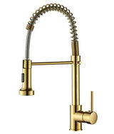 Spring Brushed Kitchen Sink Faucet