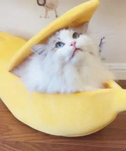 Funny Banana Cats Bed House